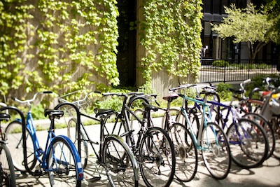 Bikes locked on rack outside Reg.jpg